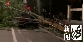 江苏南通极端天气人员伤亡_南通冰雹强雷暴大风灾害_南通天气