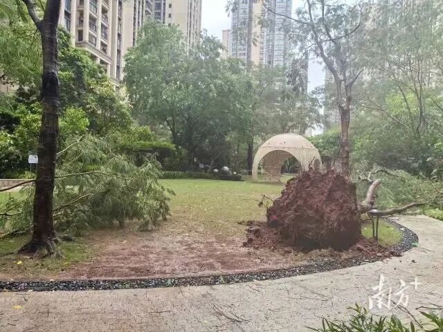广州雷雨冰雹预警_广州天气变化快_惠州天气