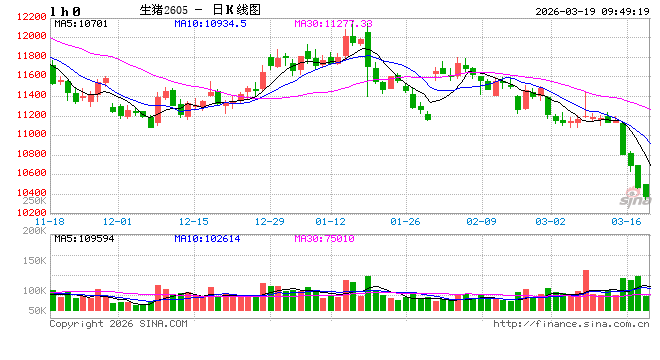 华泰期货：市场情绪有所回升，猪价整体持稳运行