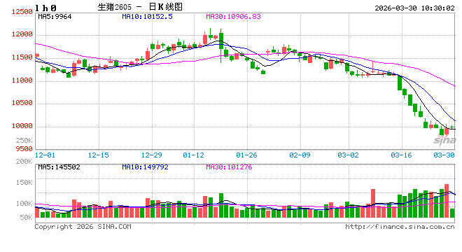 华泰期货:产能未去、消费未起 生猪市场步入磨底格局