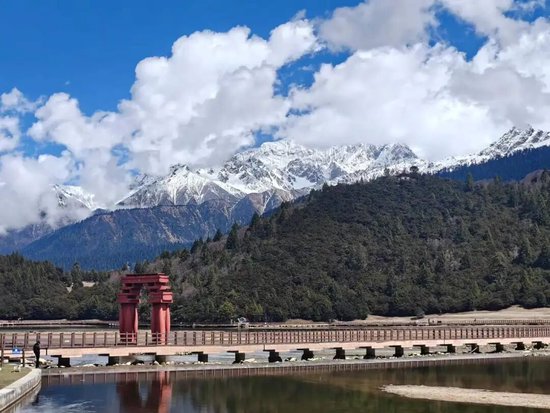 一线保险从业者的困境：忙到飞起，穷到心慌