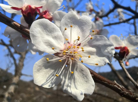 万亿公募汇添富:“选股专家”变“被动之家”