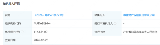 申能财险再成被执行人，累计执行标的超52万元