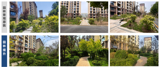 从滞销盘到区域标杆 远洋建管获委托方授予“最佳战友”